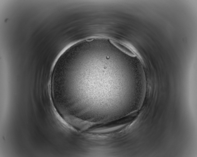 X0000086741100200704201701