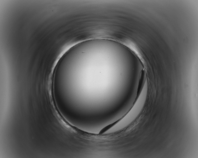 X0000086741102200704201701