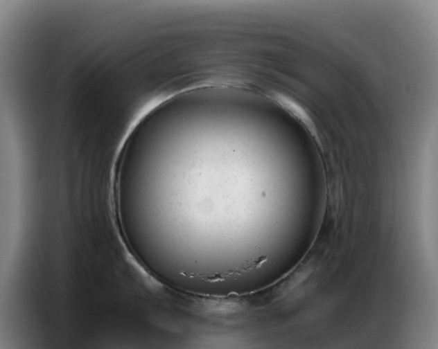 X0000086741103200704201701