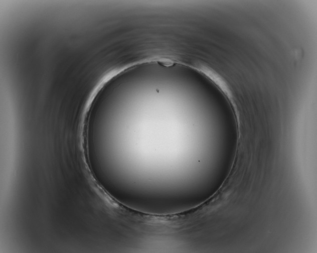 X0000086741104200704201701