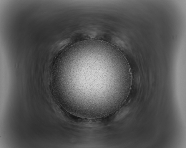 X0000086741105200704201700
