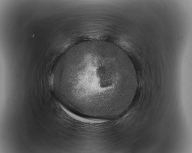 X0000086741106200704201700