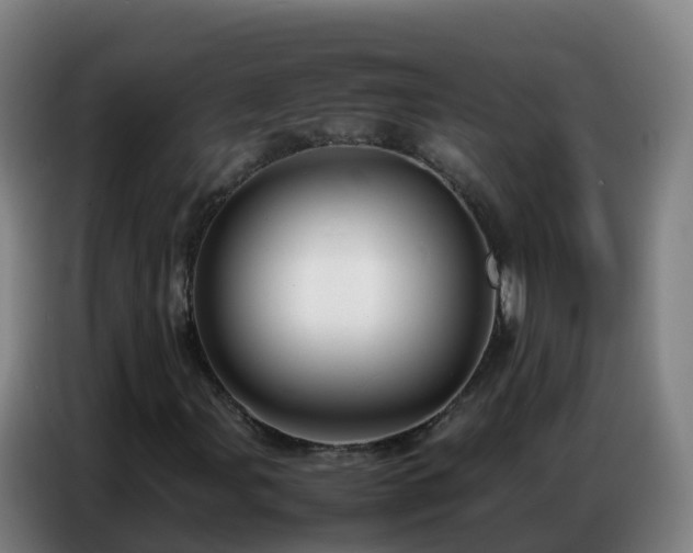 X0000086741107200704201700