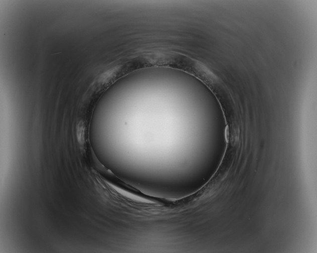 X0000086741108200704201700