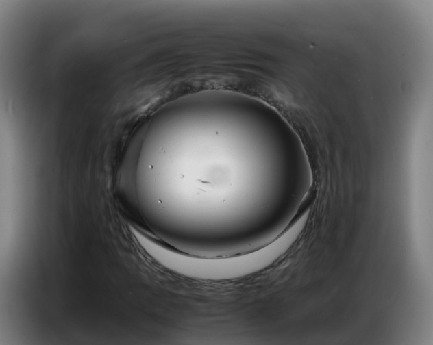 X0000086741109200704201700