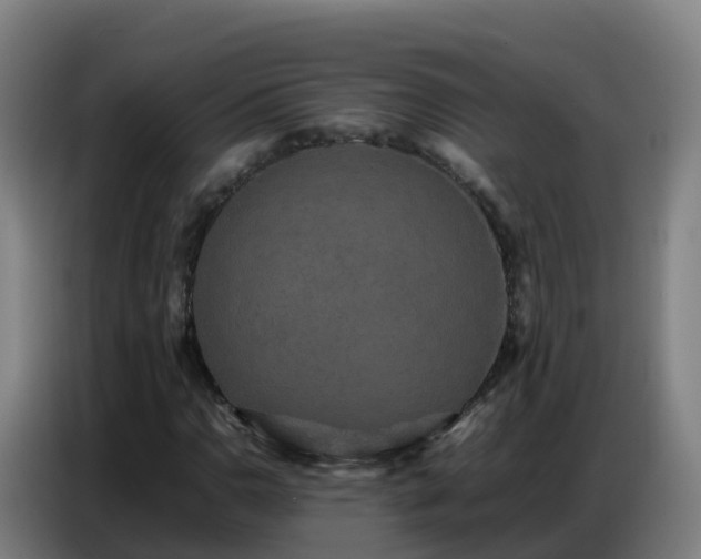 X0000086741110200704201700
