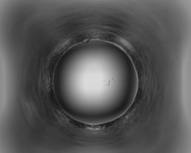 X0000086741111200704201700