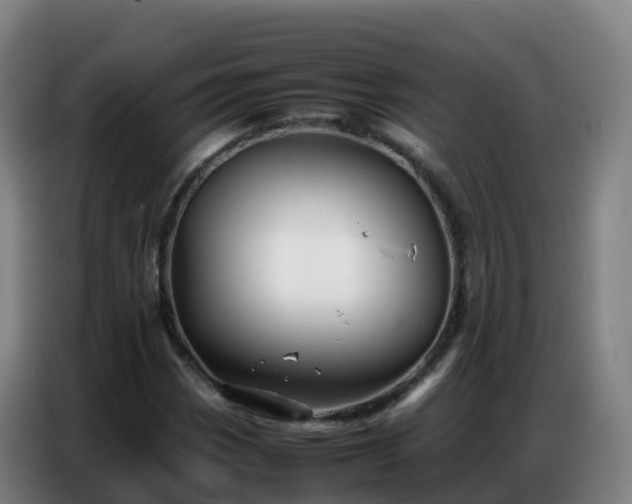 X0000086741113200704201700