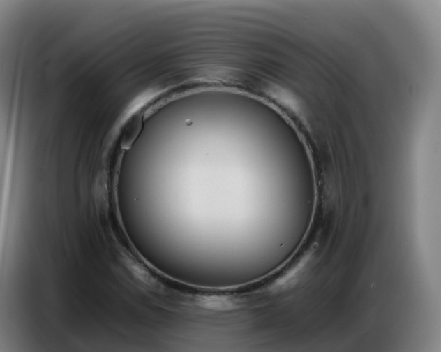 X0000086741114200704201700