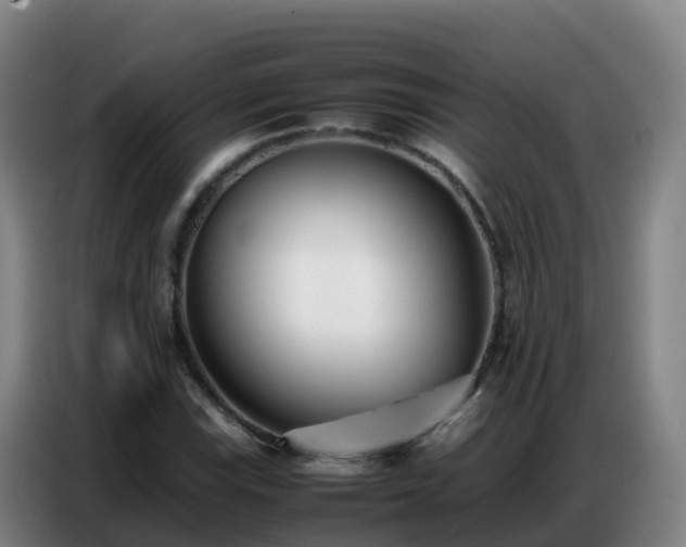 X0000086741115200704201700