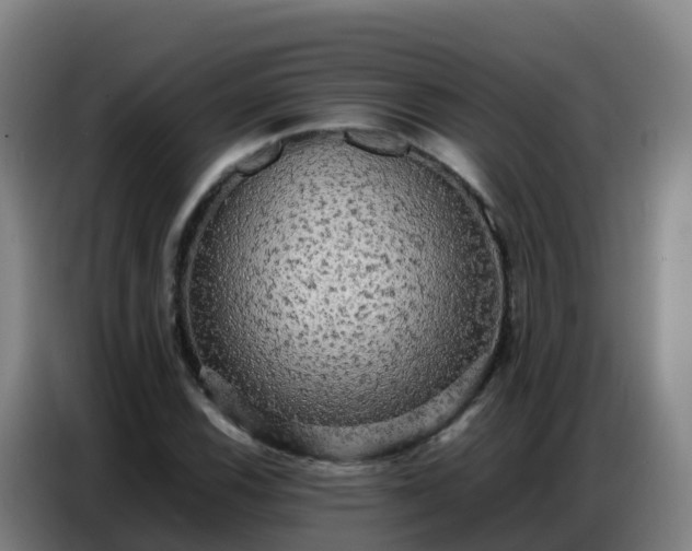 X0000086741116200704201700