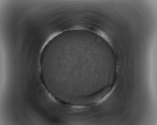X0000086741117200704201700