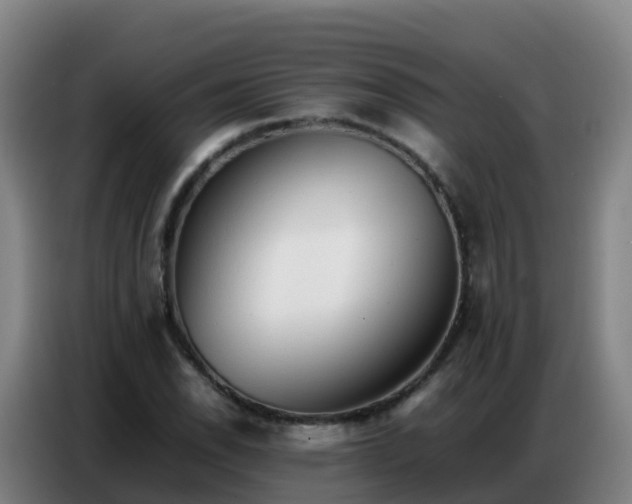 X0000086741118200704201700