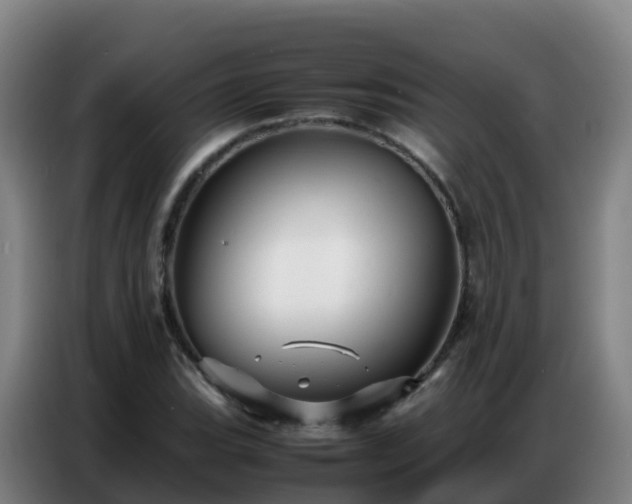 X0000086741119200704201700