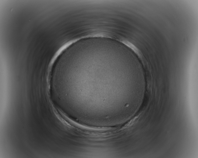 X0000086741120200704201700