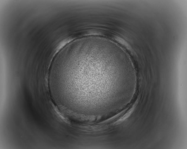 X0000086741121200704201700