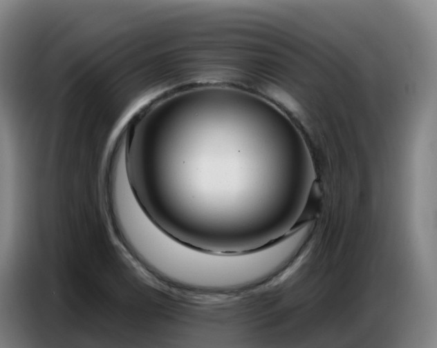 X0000086741122200704201700