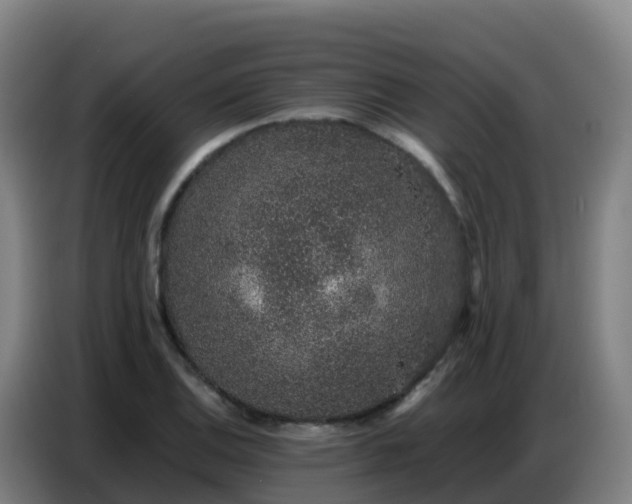 X0000086741124200704201700
