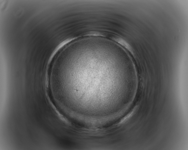 X0000086741125200704201700
