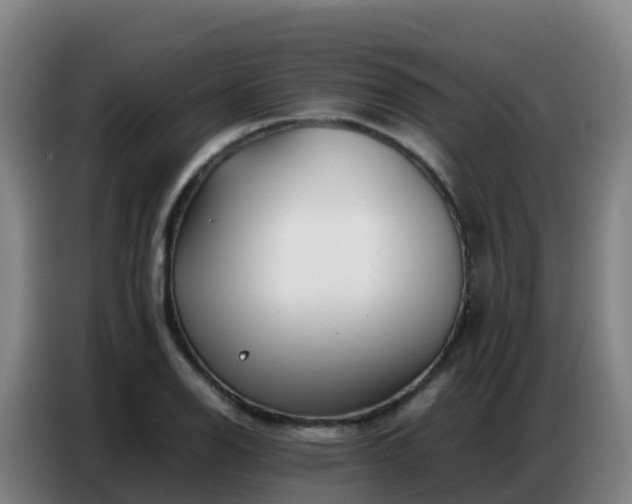 X0000086741126200704201700