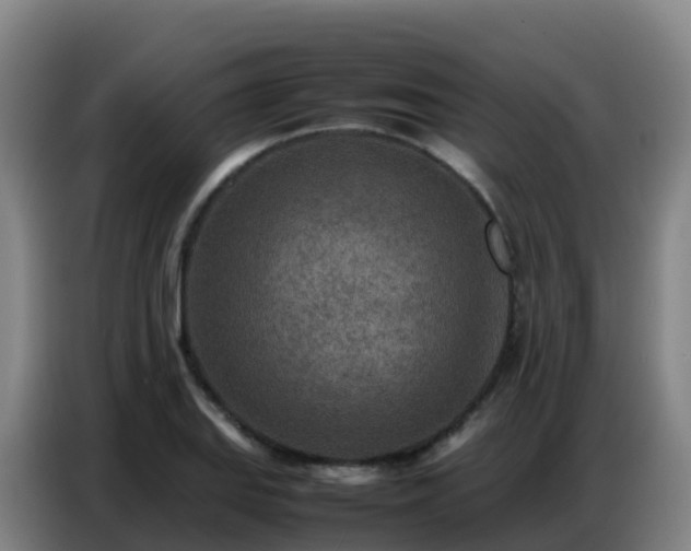 X0000086741127200704201700