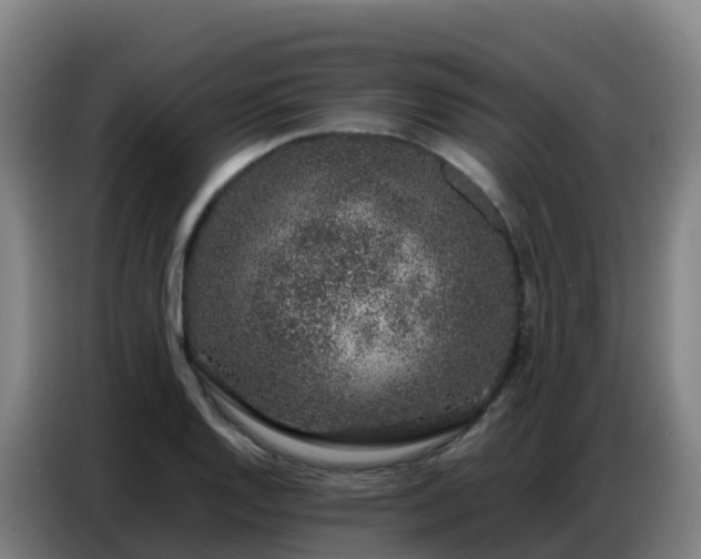 X0000086741128200704201700