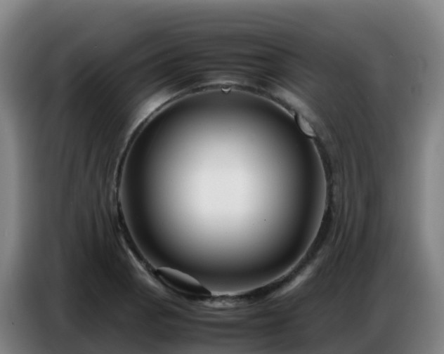 X0000086741129200704201700