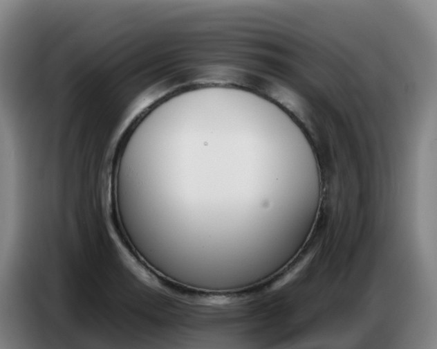 X0000086741130200704201700