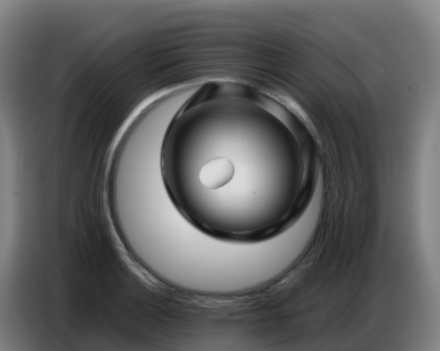 X0000086741132200704201700
