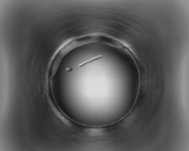 X0000086741134200704201700