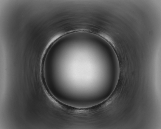 X0000086741135200704201700