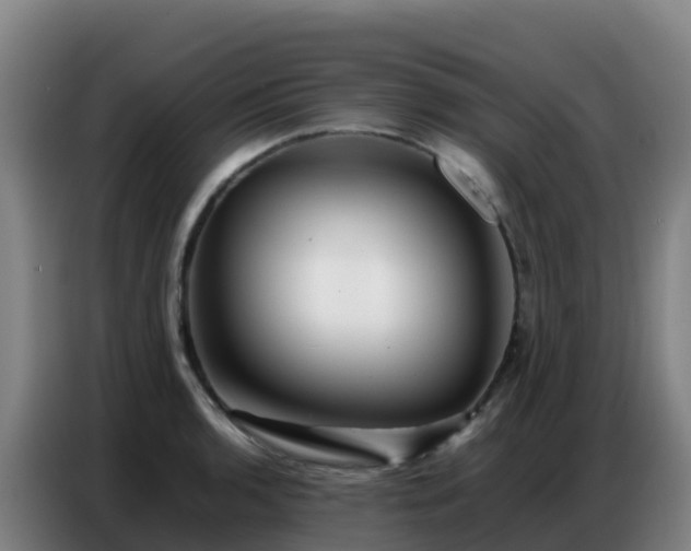 X0000086741136200704201700
