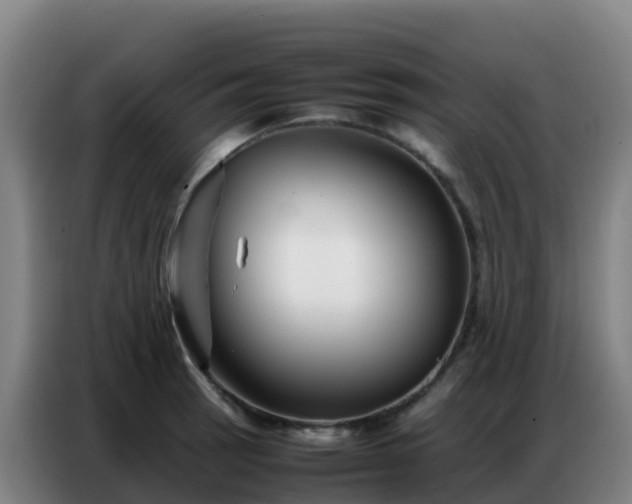 X0000086741137200704201700