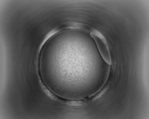 X0000086741138200704201700