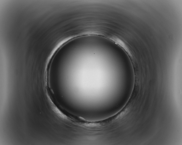 X0000086741140200704201700