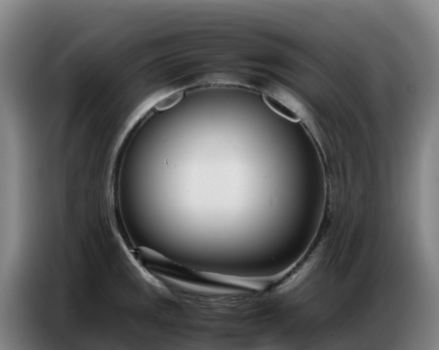 X0000086741141200704201700