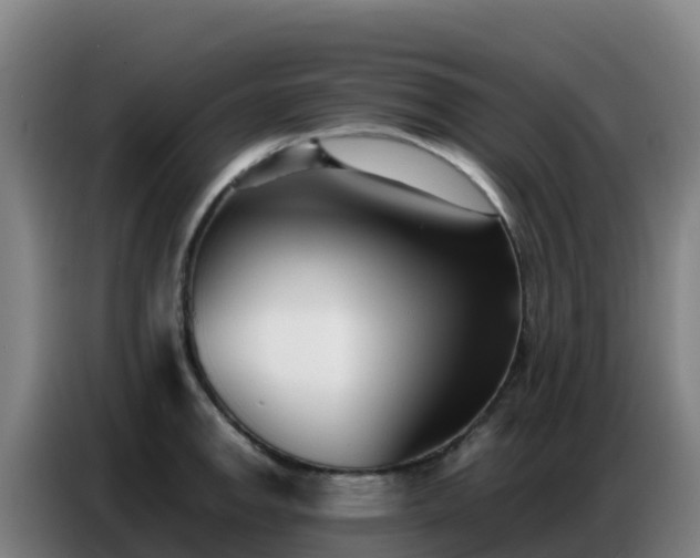 X0000086741142200704201700