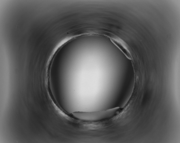 X0000086741143200704201700