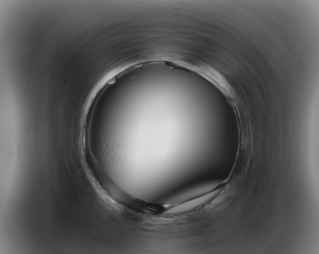 X0000086741144200704201701