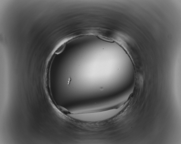 X0000086741147200704201701