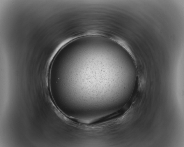 X0000086741148200704201701