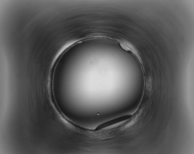 X0000086741149200704201701