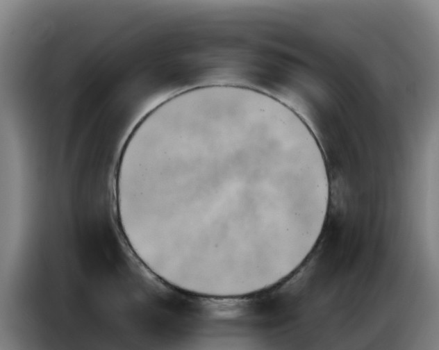 X0000086741150200704201701