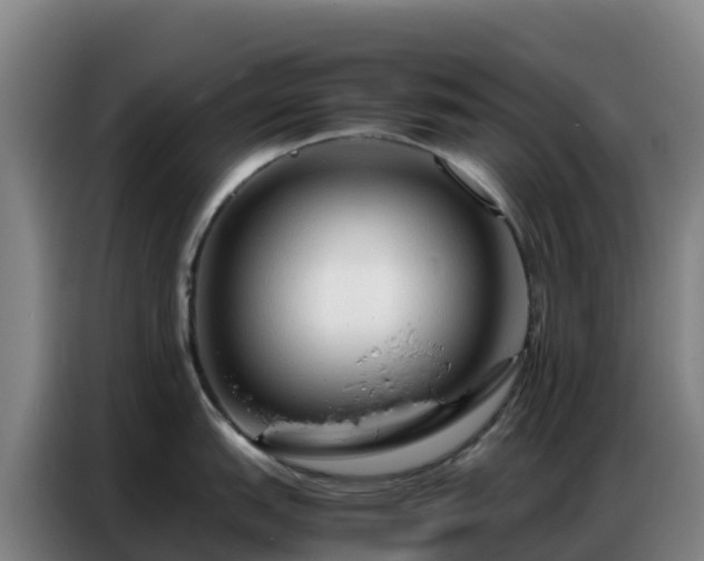 X0000086741151200704201701