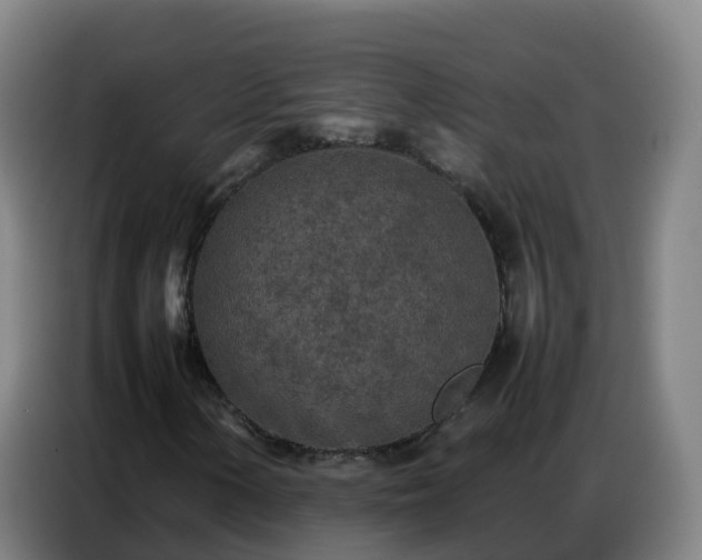 X0000086741154200704201700
