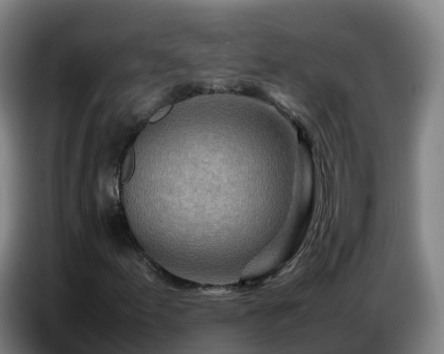 X0000086741155200704201700