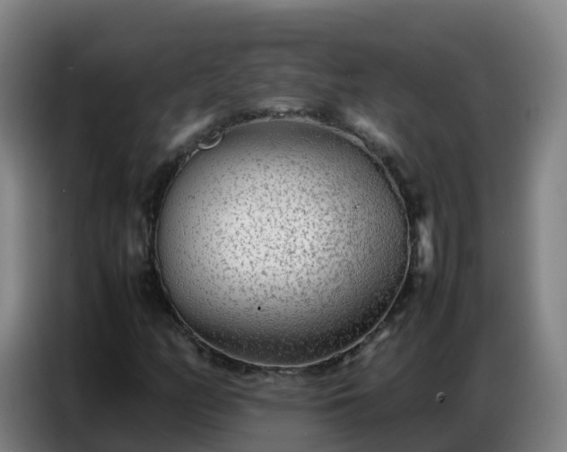 X0000086741158200704201700