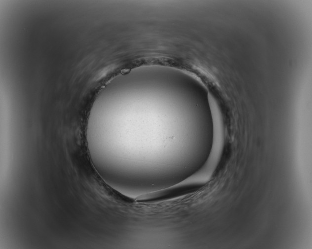 X0000086741159200704201700