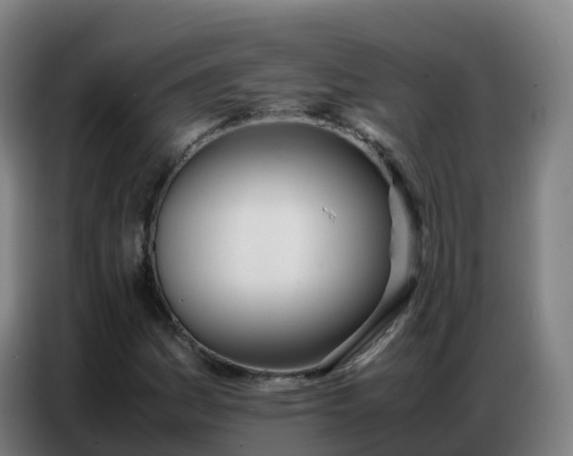 X0000086741161200704201700
