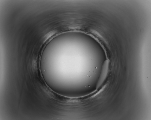 X0000086741162200704201700